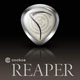 Reaper DAW